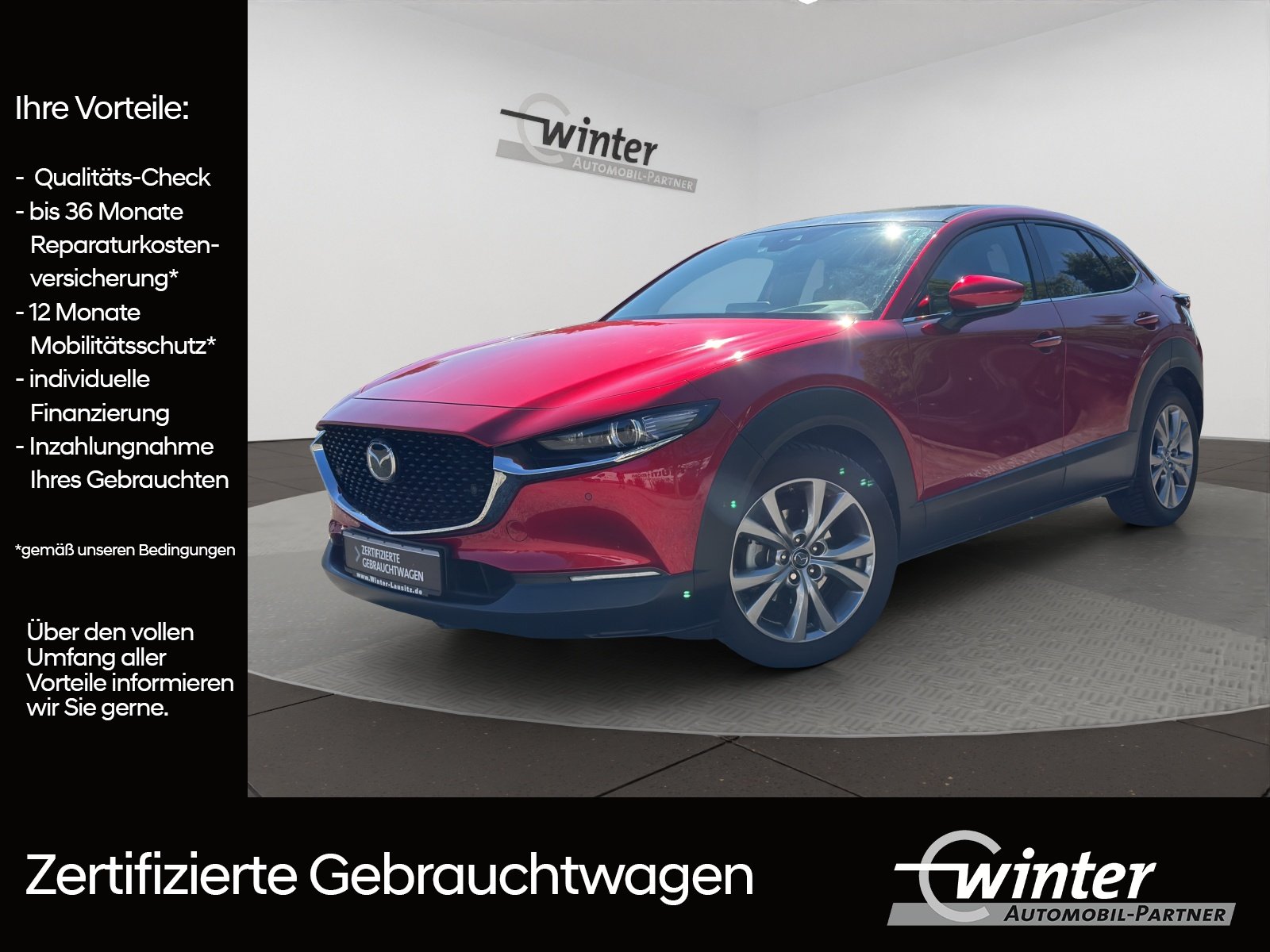 Bild 1 von Mazda CX-30 2.0 122PS 6-Gang Hybrid