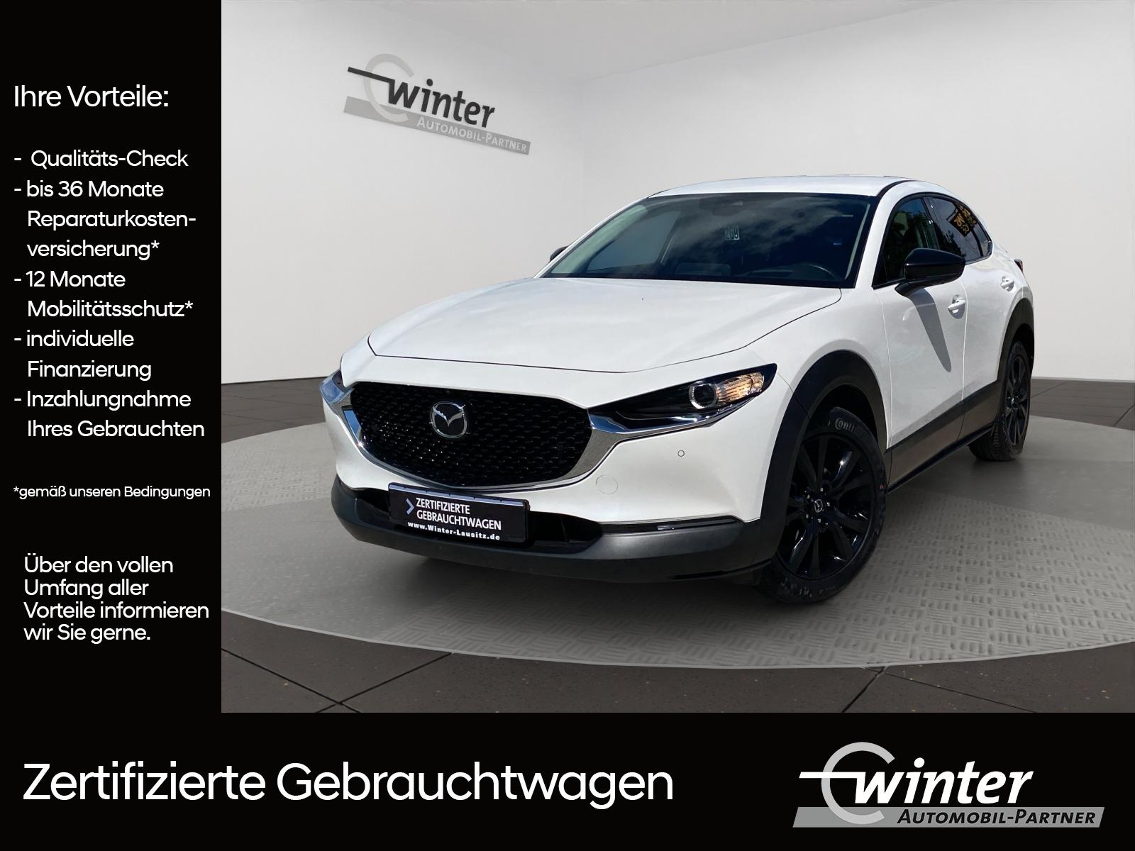 Bild 1 von MAZDA CX-30 2.0 Skyactive-G Hybrid Homura