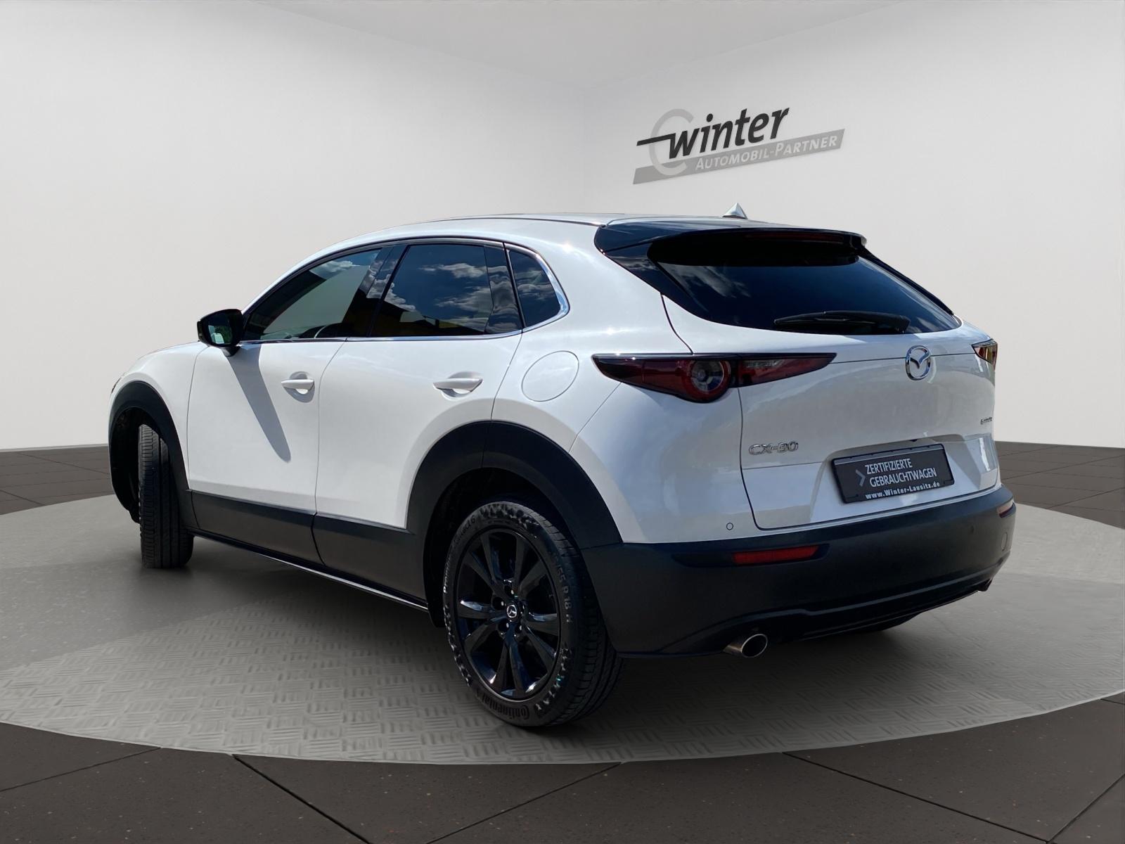 Bild 4 von MAZDA CX-30 2.0 Skyactive-G Hybrid Homura