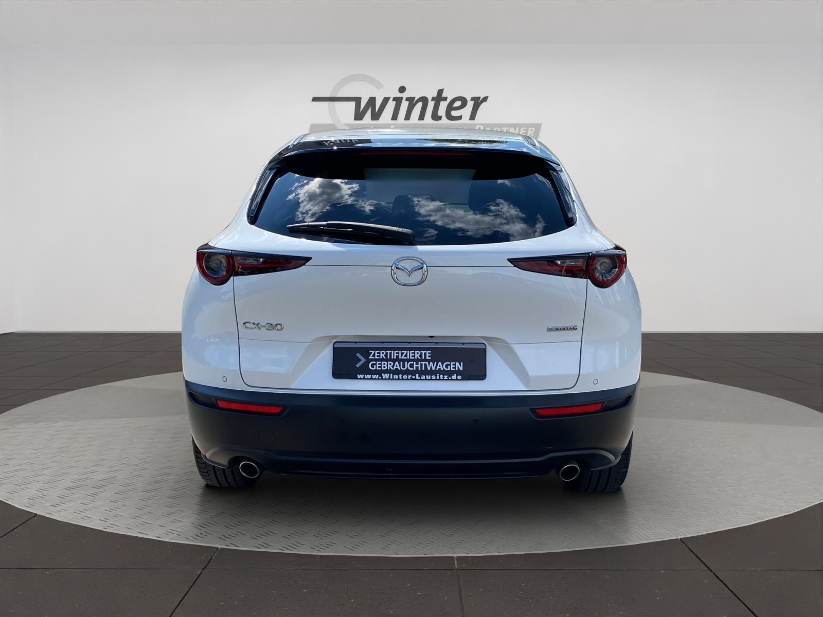 Bild 5 von MAZDA CX-30 2.0 Skyactive-G Hybrid Homura