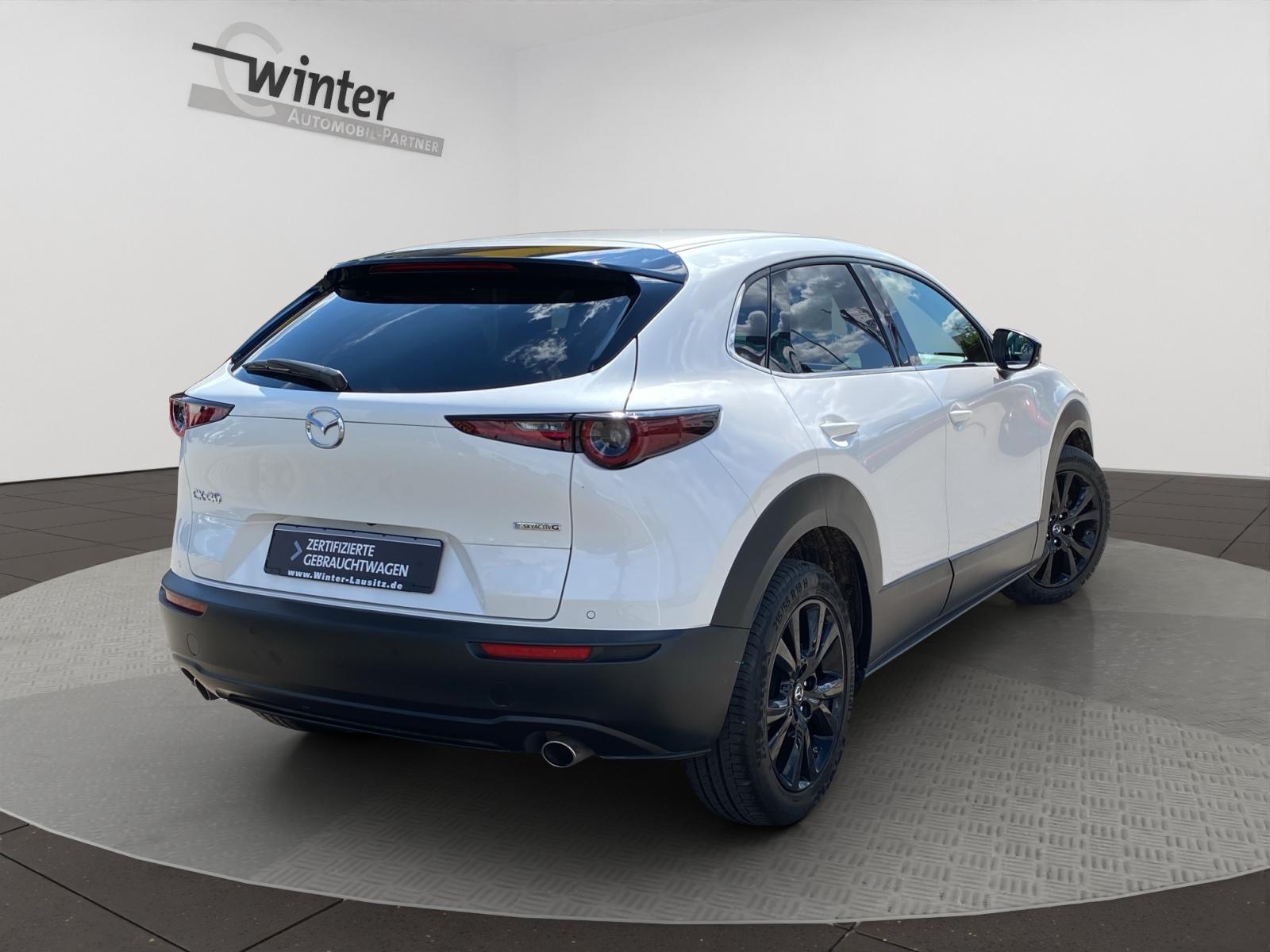 Bild 6 von MAZDA CX-30 2.0 Skyactive-G Hybrid Homura