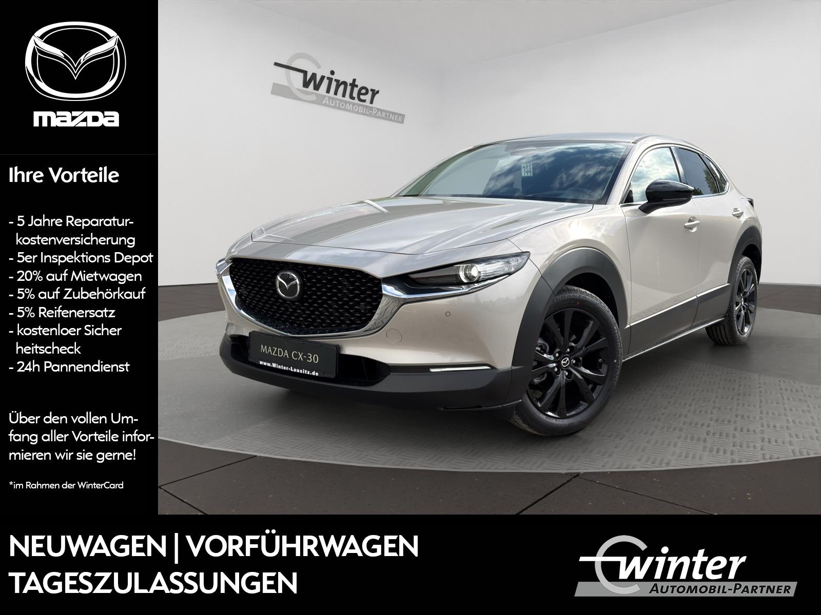Bild 1 von MAZDA CX-30 2,5l 140PS 6-Gang Homura LED/Sitz+Lenkradh