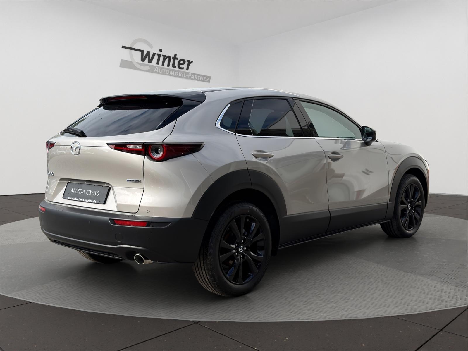 Bild 7 von MAZDA CX-30 2,5l 140PS 6-Gang Homura LED/Sitz+Lenkradh