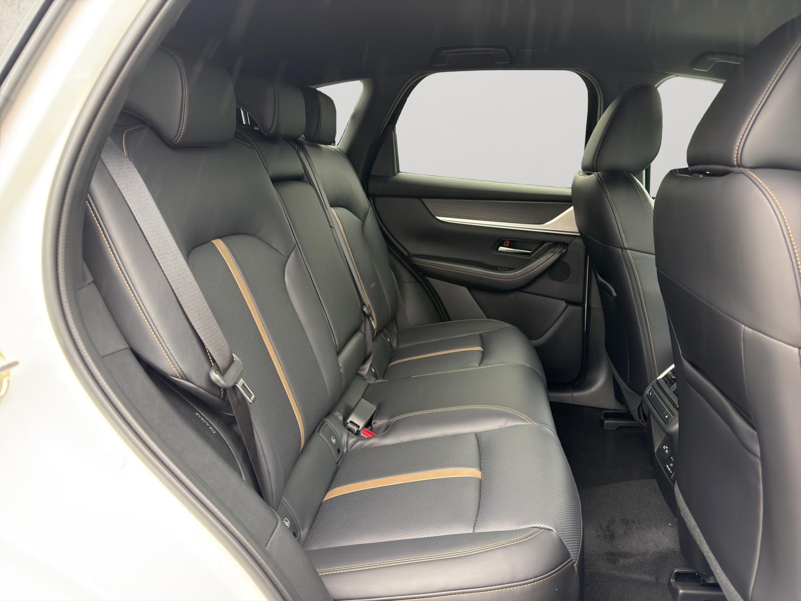 Bild 11 von MAZDA CX-60 3,3l 254PS AWD Homura MATRIX/BOSE/DAB+/HEA