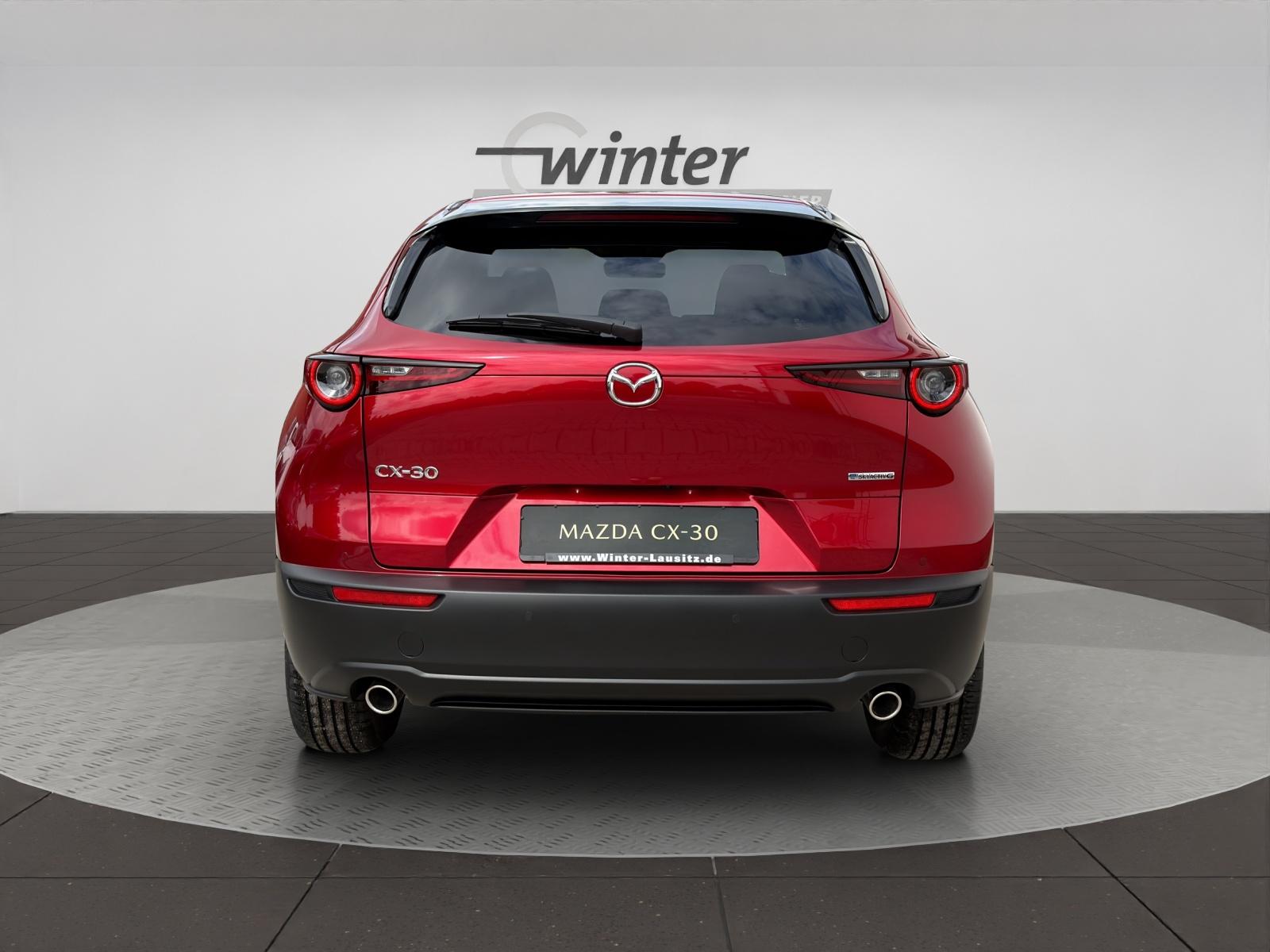 Bild 5 von MAZDA CX-30 2,5l 140PS 6-Gang Homura Kamera/PDC/LED/HE