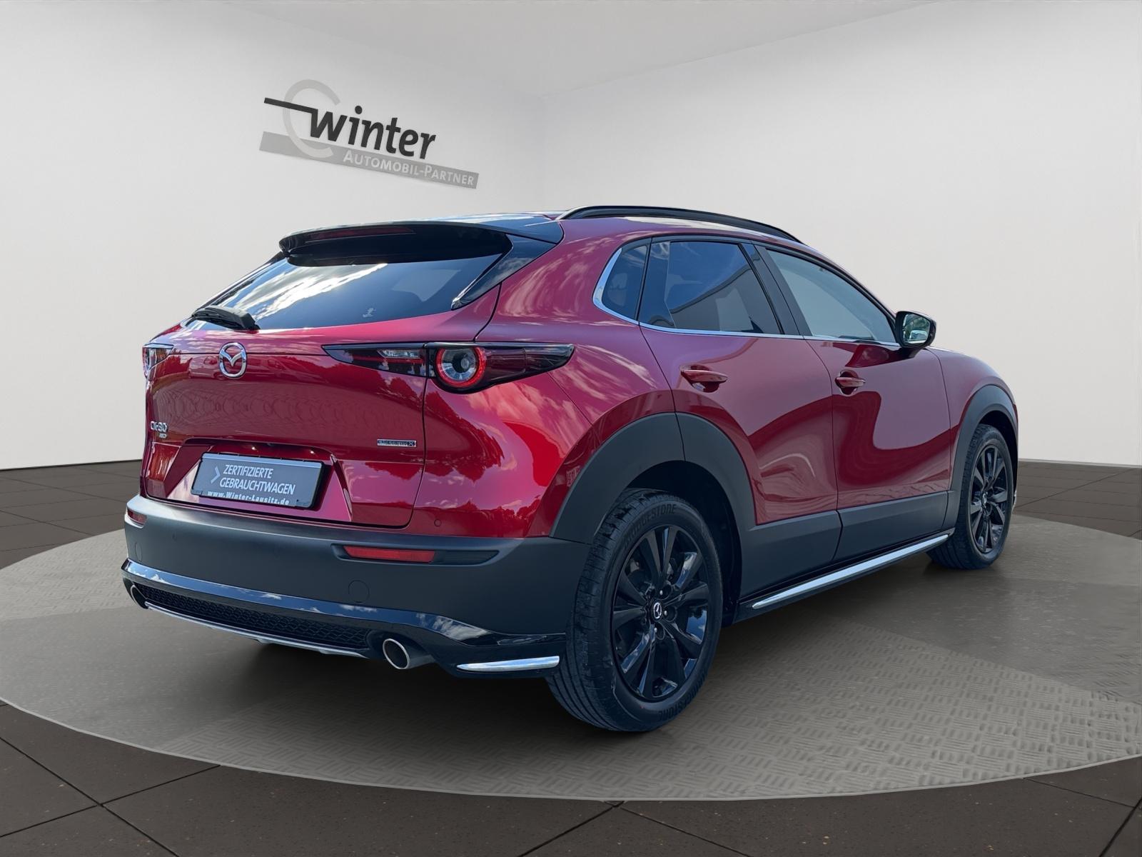 Bild 6 von MAZDA CX-30 2,0l 186PS 6-Gang AWD Nagisa HEAD-UP/MATRI
