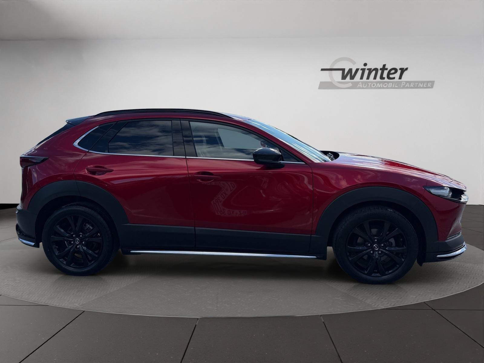 Bild 7 von MAZDA CX-30 2,0l 186PS 6-Gang AWD Nagisa HEAD-UP/MATRI