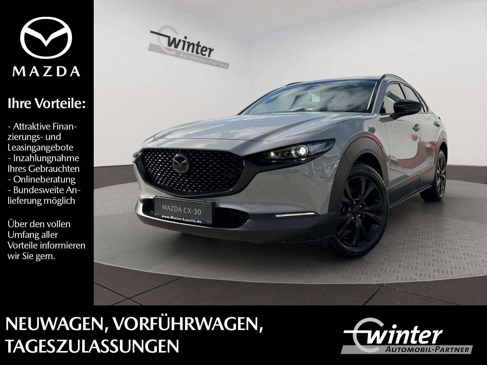 Bild 1 von MAZDA CX-30 2,5l 140PS FWD Homura Plus MATRIX/360°KAME