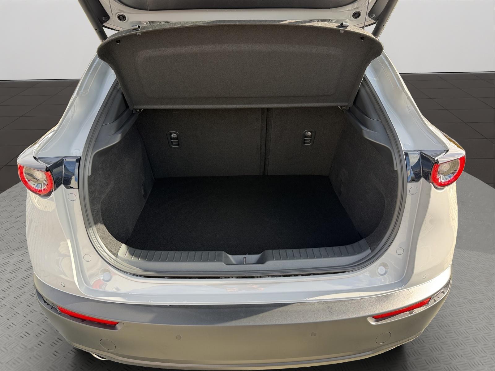 Bild 12 von MAZDA CX-30 2,5l 140PS FWD Homura Plus MATRIX/360°KAME